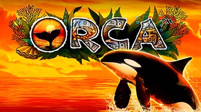 Orca